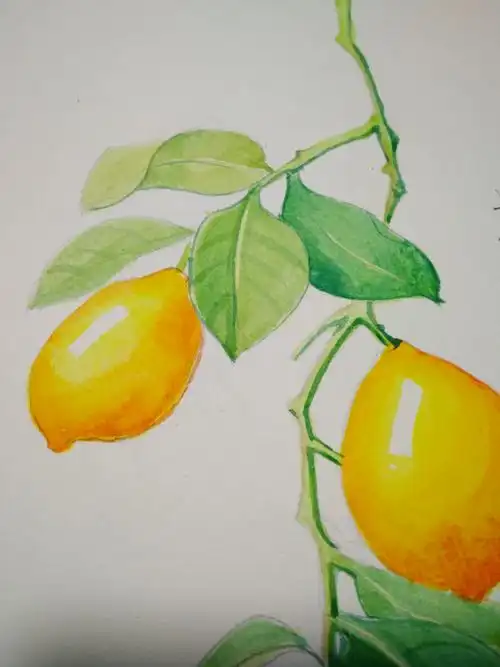 水彩临摹——柠檬