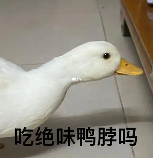 到了盛产表情包的年纪08