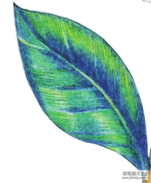 叶子简笔画水粉