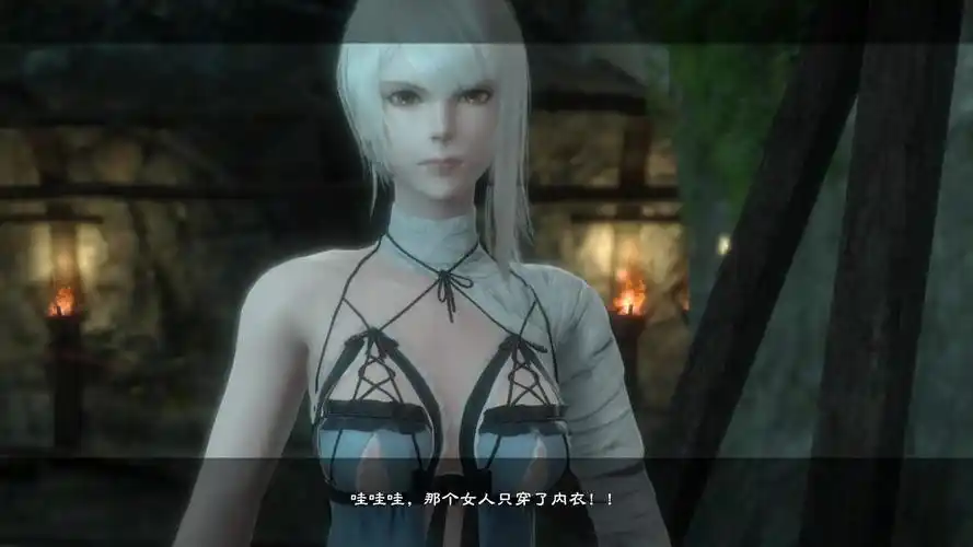 游玩尼尔人工生命后你可能会想知道的几件事