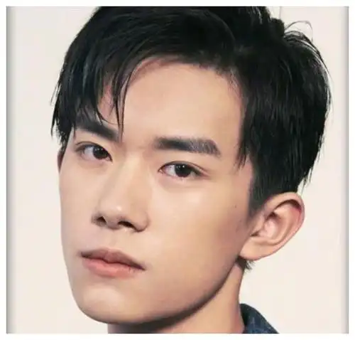 丹凤眼男明星大全