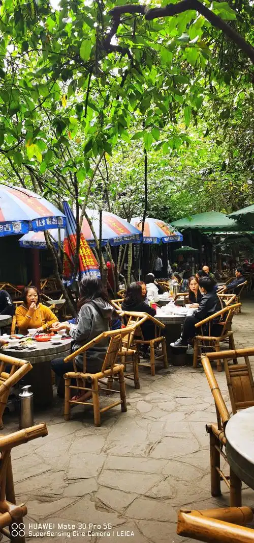 成都人民公园安逸喝茶聊天的游客