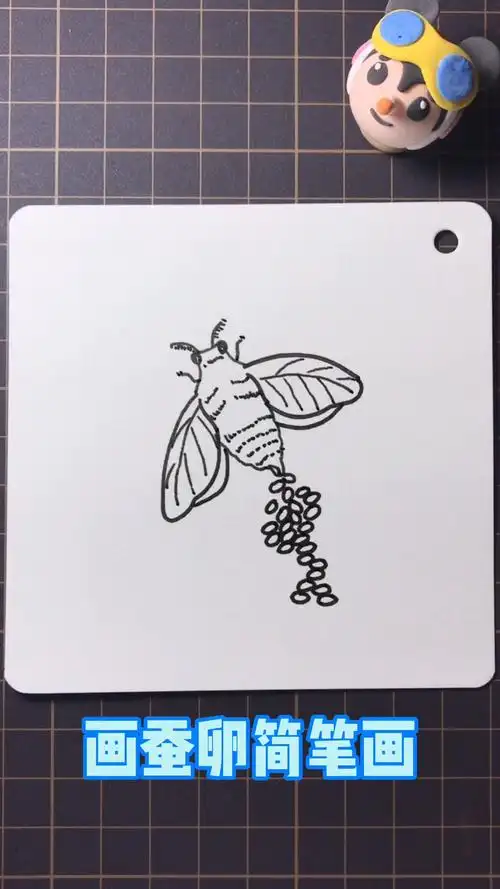 蚕卵简笔画怎么画