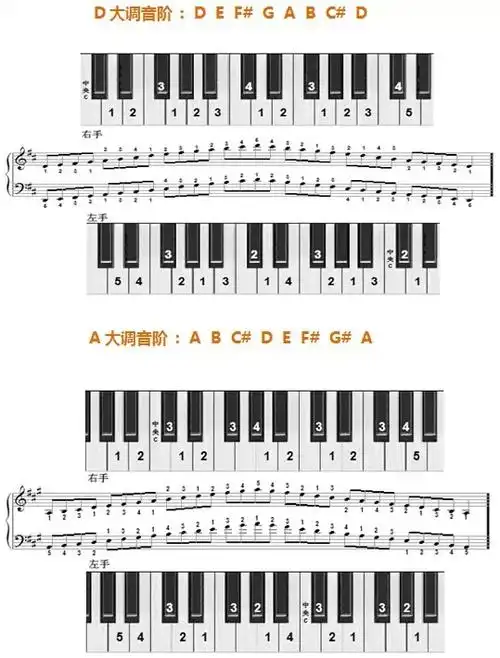 d大调音阶.webp.jpg