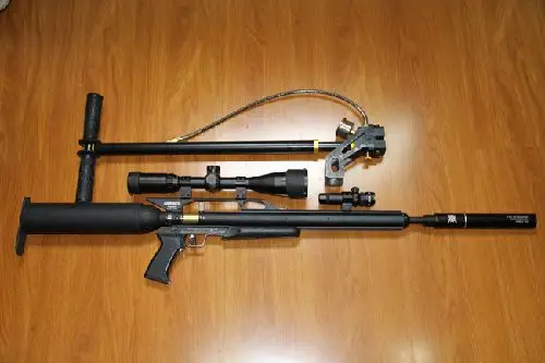 男子淘宝买"鸟枪" 嫌他人停车挡路竟开枪出气