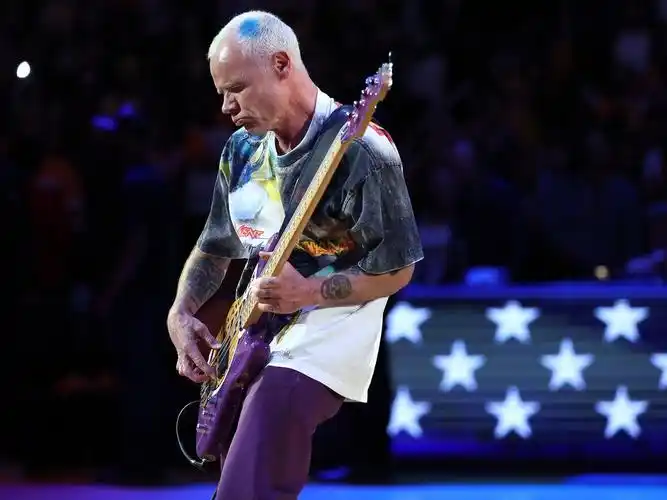 红辣椒明星michael flea balzary出售位于新州南海岸moruya的300