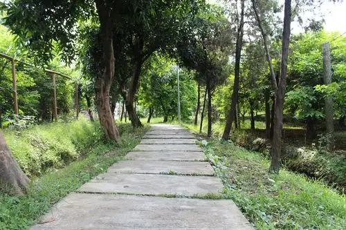 全部相册 > 杨桃公园( 45张 )