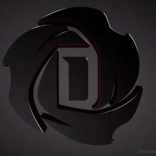 谁有德里克 罗斯玫瑰花logo啊