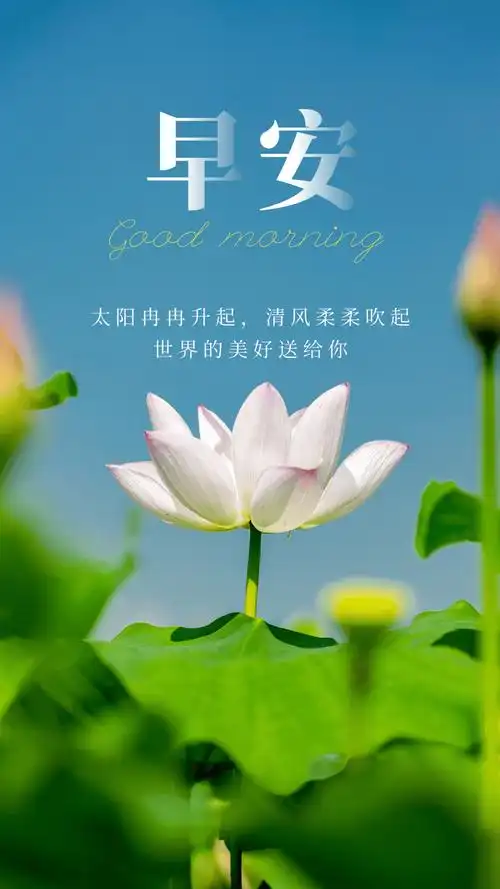 早安心语正能量经典语录文案句子