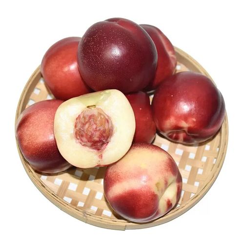 千朵云澳洲进口油桃 新鲜脆甜桃子水果大果桃驳李当季整箱蜜桃 2斤 一