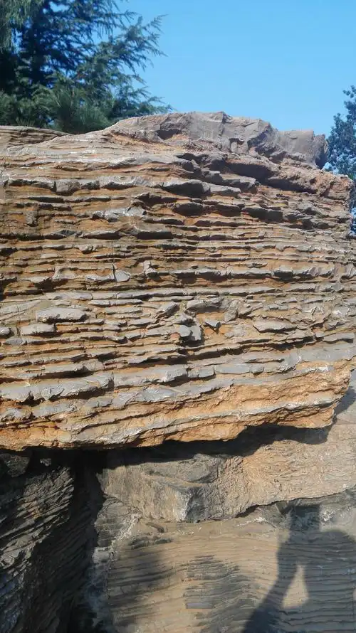 山东大厦东北有个美丽的小花园