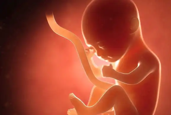 妈妈看后心都要被萌化了_时候_肚子_孩子