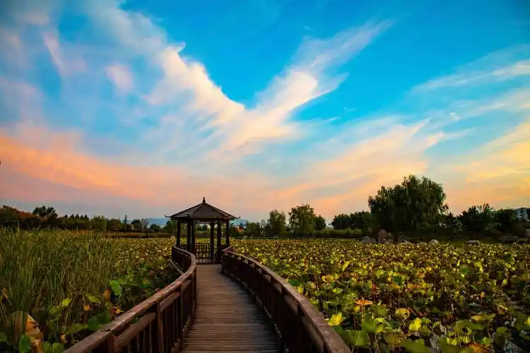 威海羊亭河湿地公园印象