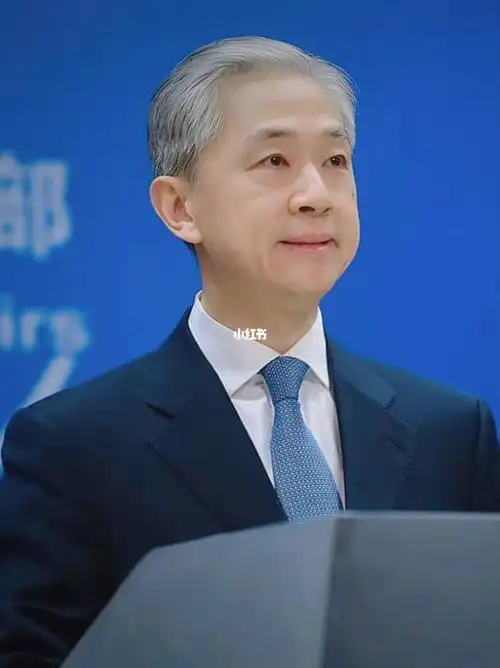 汪文斌  #汪司  #汪叔