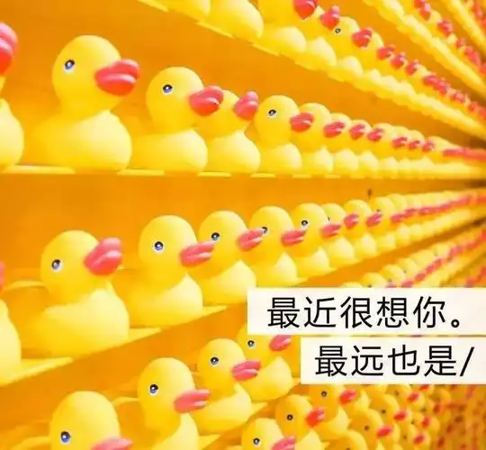 超火ins风热门朋友圈封面背景图