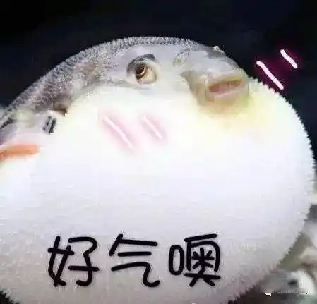 河豚气鼓鼓表情包 生气,生气,巨生气,炒鸡生气,好气哦