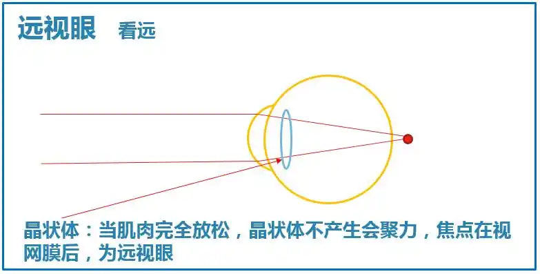据说:远视眼看远清楚,考试抄卷子贼6