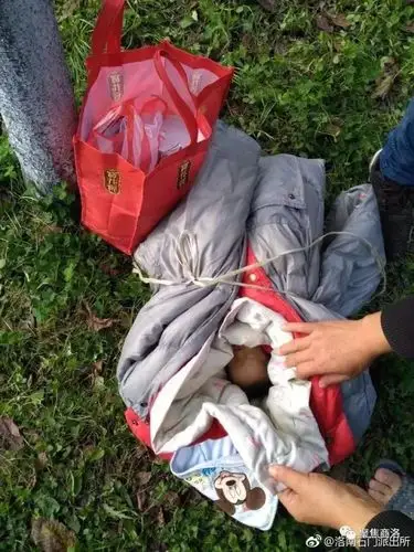 刚出生的女婴被扔在洛南石门张湾村路边!这谁干的?