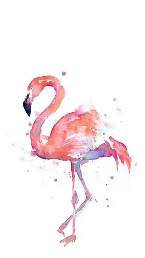 手绘火烈鸟插画唯美高清手机壁纸-风格-手机壁纸下载-美桌网