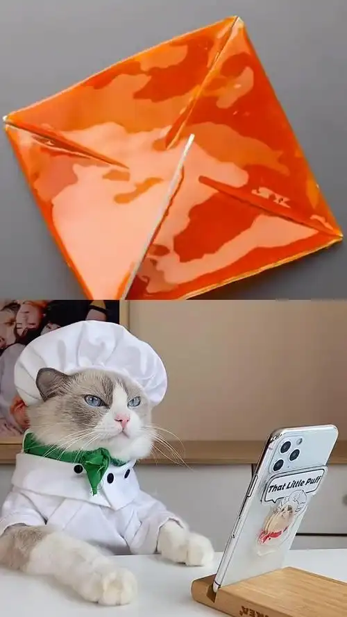 小风车转呀转了个寂寞#萌宠出道计划#喵大厨#宠物达人创作营