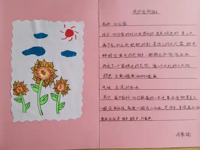 晒晒孩子们的植物记录卡.