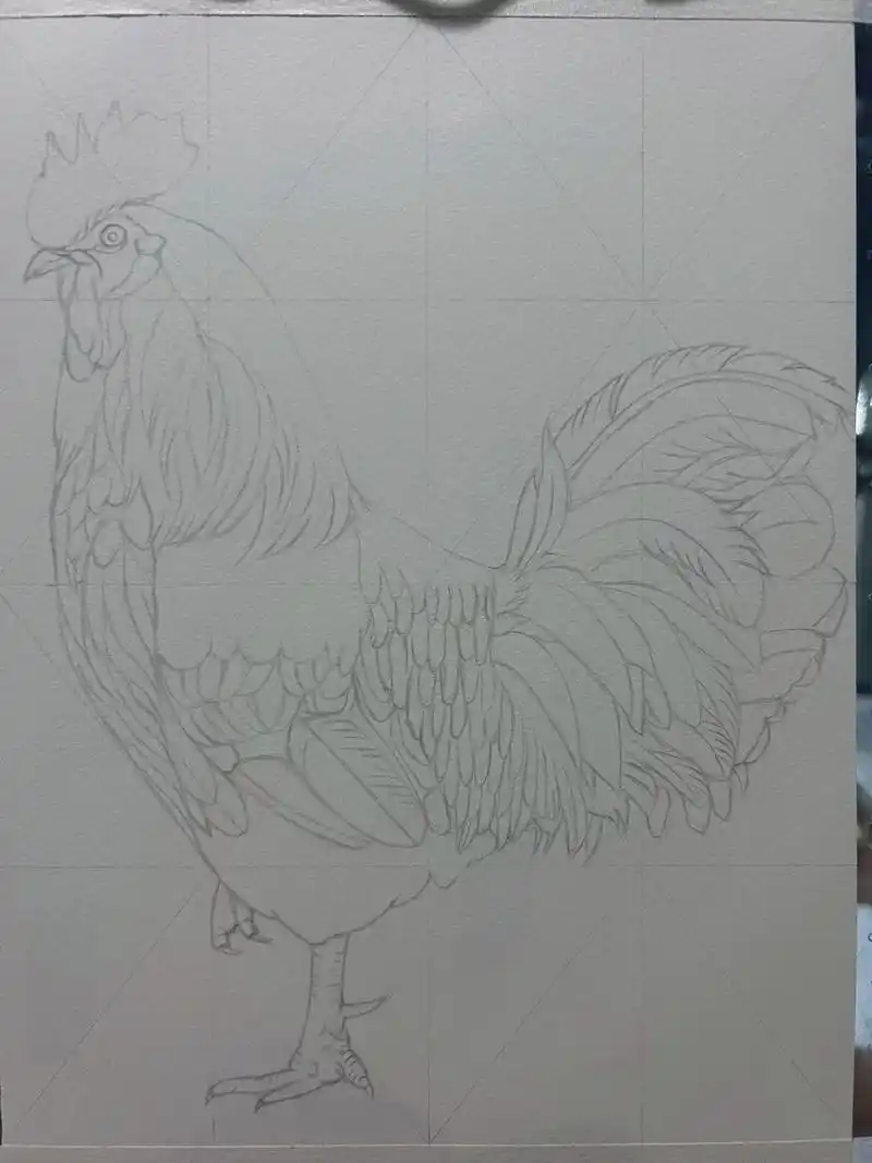 彩铅大公鸡练习.彩铅大公鸡练习步骤图 #dou上热门 #自学 - 抖音