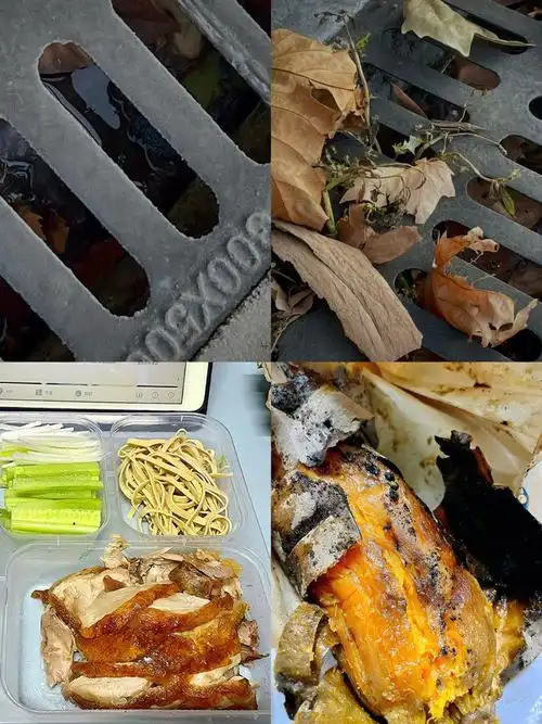 真的很爱北京烤鸭