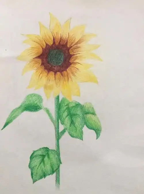 儿童彩铅画范本