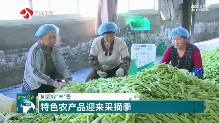 初夏好丰景江苏多地特色农产品迎来采收期