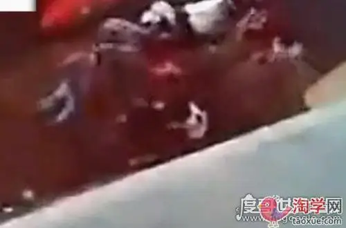 世界上最恐怖的跳水失败现场,脸摔成了两半(附视频/胆小勿看)