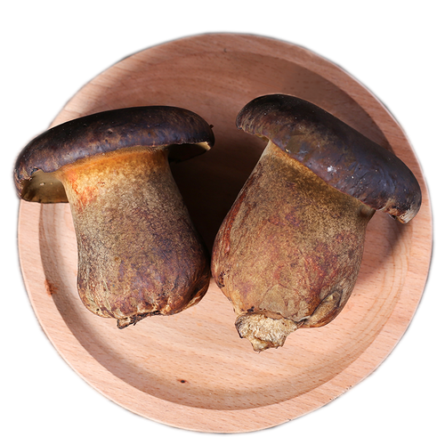 蘑菇云南新鲜黑牛牛肝菌500g食用菌野生菌红黄见手新鲜松茸