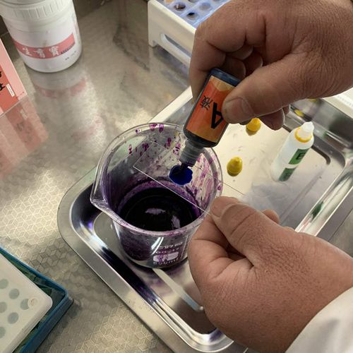 载玻片染色剂显微镜染色剂精子狗排卵显微镜一套ab液活力排卵检测