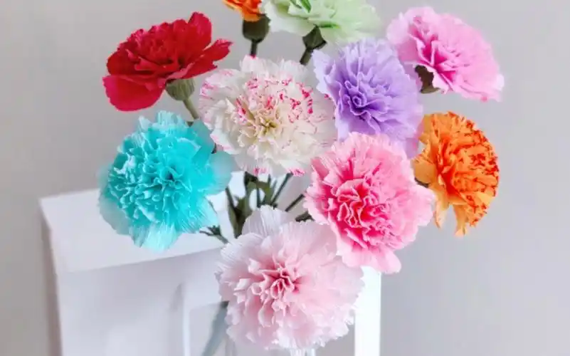 皱纹纸手工花diy 康乃馨_哔哩哔哩 (゜-゜)つロ 干杯~-bilibili