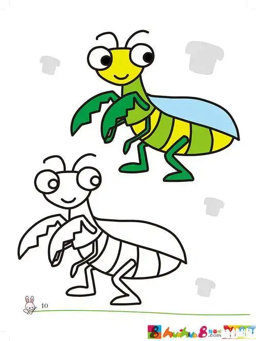 儿童简笔画彩色涂色简笔画螳螂简笔画