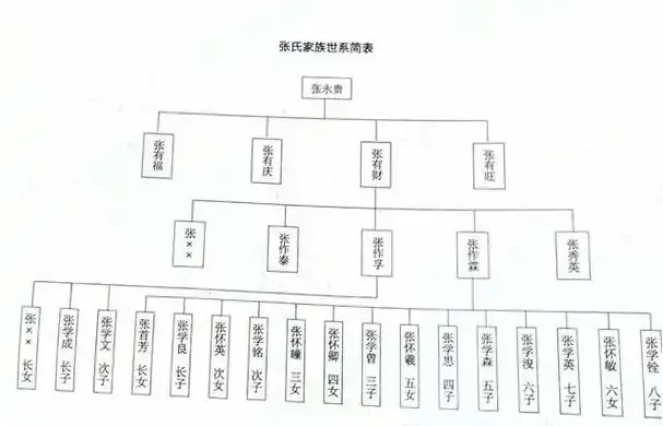 张氏家族世系简表