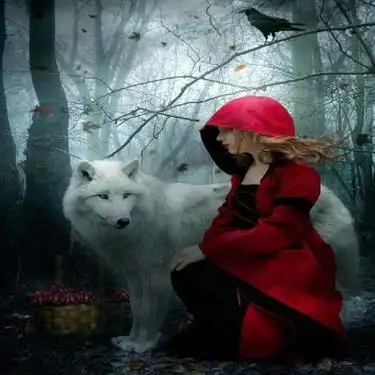 新款钻石画diy 女孩和狼 方钻满钻绣 客厅装饰 厂家直销图片定做