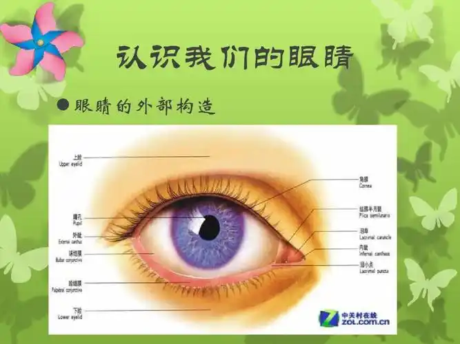 保护眼睛,预防近视——中小学生预防保健课件ppt