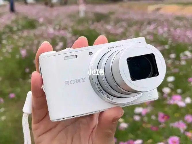 索尼wx300 20倍长焦拍月嘎嘎好90颜值也是没得说6015不说了我先