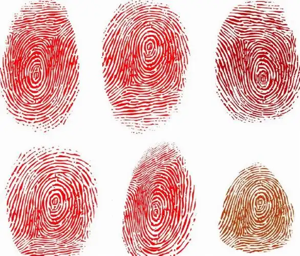 你双手指纹有几个螺手指指纹有几个螺