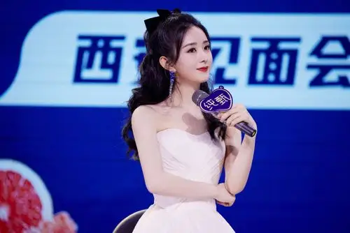 赵丽颖西安见面会