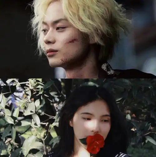 终于拍了溺水小刀里的山茶花