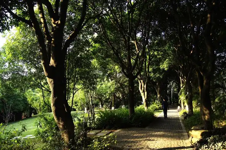 《厦门仙岳公园》