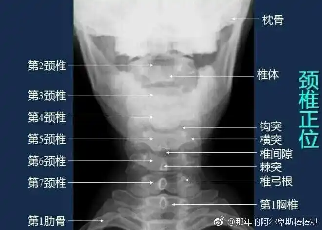 dr lee的个人主页