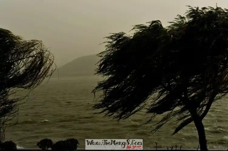 周公解梦梦见鞋坏了-周公解梦梦见穿他的鞋在一个坏