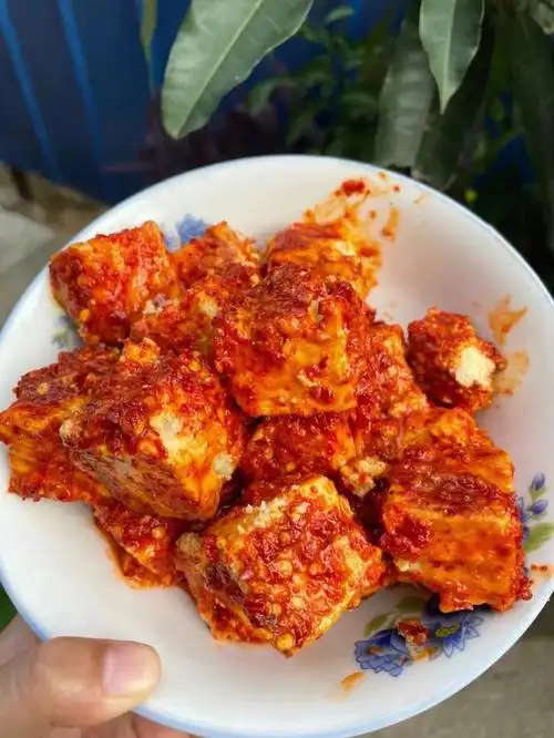 豆腐乳的做法全国统一吗教程来了