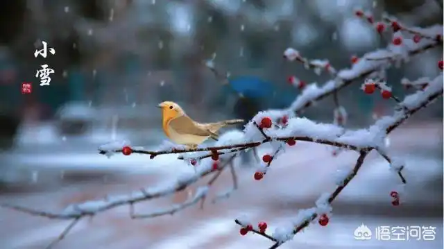农村俗语"小雪不见雪,大雪满天飞",你怎么理解?