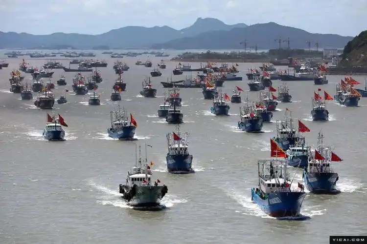 黄海,东海部分海域休渔期结束,上万艘渔船解禁出港,渤海,南海也即将