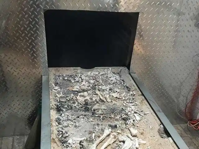 尸体|骨灰|火葬|土葬_网易订阅