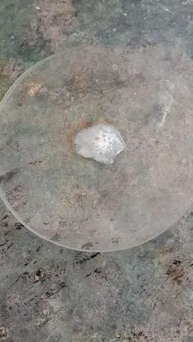 金属钠在空气中的变质过程