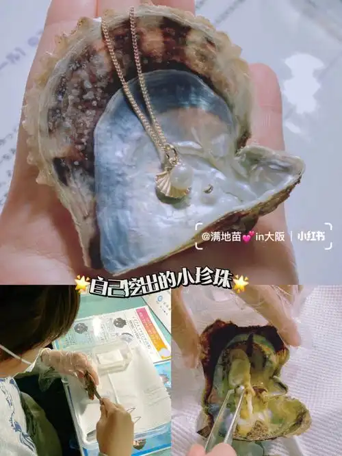 大分海洋水族馆小朋友第一次开蚌取珍珠
